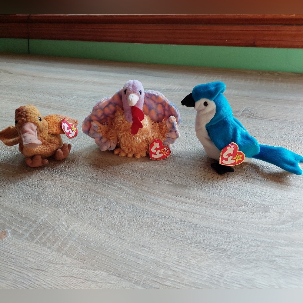 Beanie Baby birds! - Picture 10 of 16